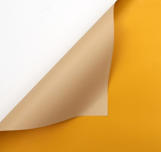 Papel Coreano Doble Faz/Color
