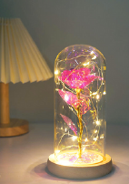 CUPULA CON LUZ LED