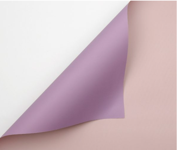 Papel Coreano Doble Faz/Color