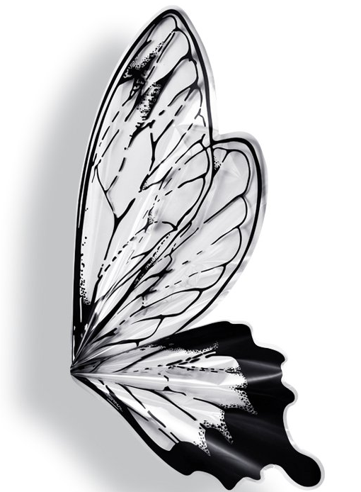 Papel Coreano Alas Mariposa Transparente