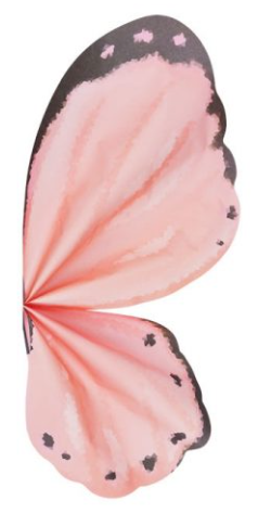 Papel Coreano Alas Mariposa