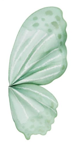 Papel Coreano Alas Mariposa