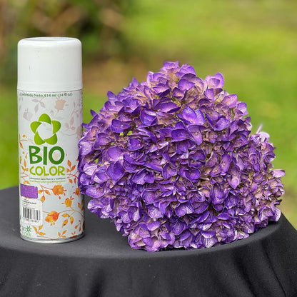 Aerosol Floral