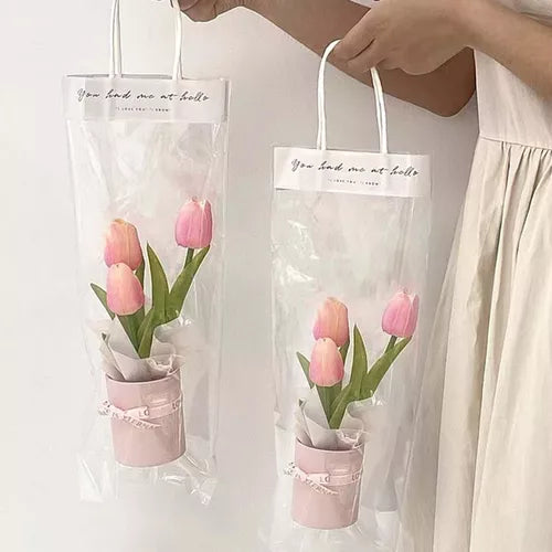 Bolsa Transparente Pequeña