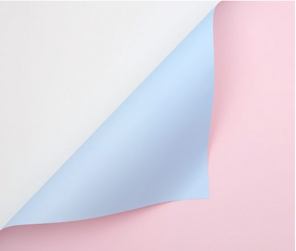 Papel Coreano Doble Faz/Color